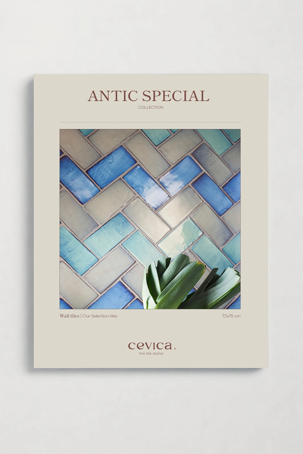 ANTIC SPECIALS